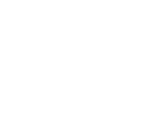 Logo for The Beautiful Lie